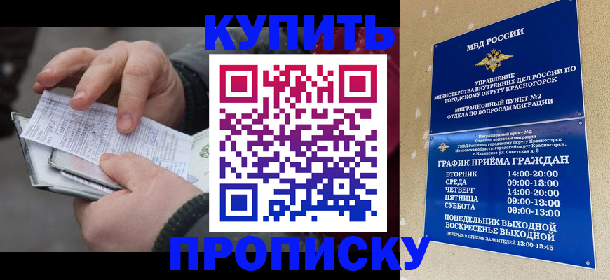 временная регистрация недорого в Большом Камне